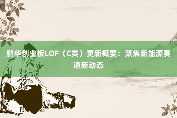 鹏华创业板LOF（C类）更新概要：聚焦新能源赛道新动态